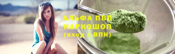 СК Аркадак