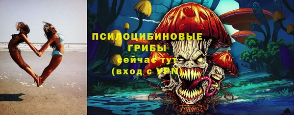 apvp Арсеньев