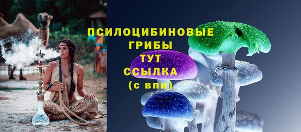 СК Аркадак
