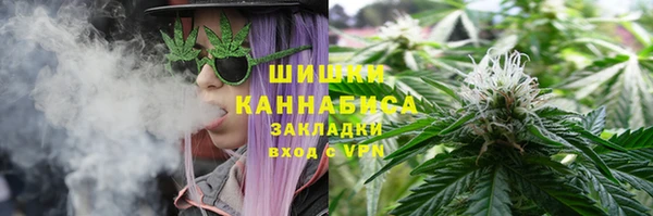 apvp Арсеньев
