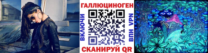 Псилоцибиновые грибы Cubensis  Первомайск 